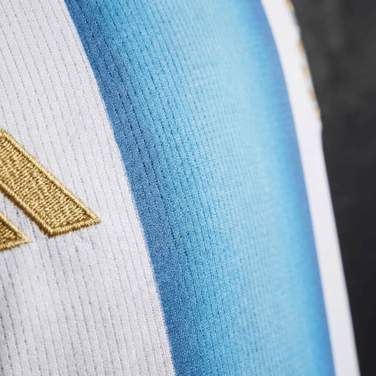 Women's Football Vest Argentina 2026 World Cup Home Jersey S-XXL detalj 2