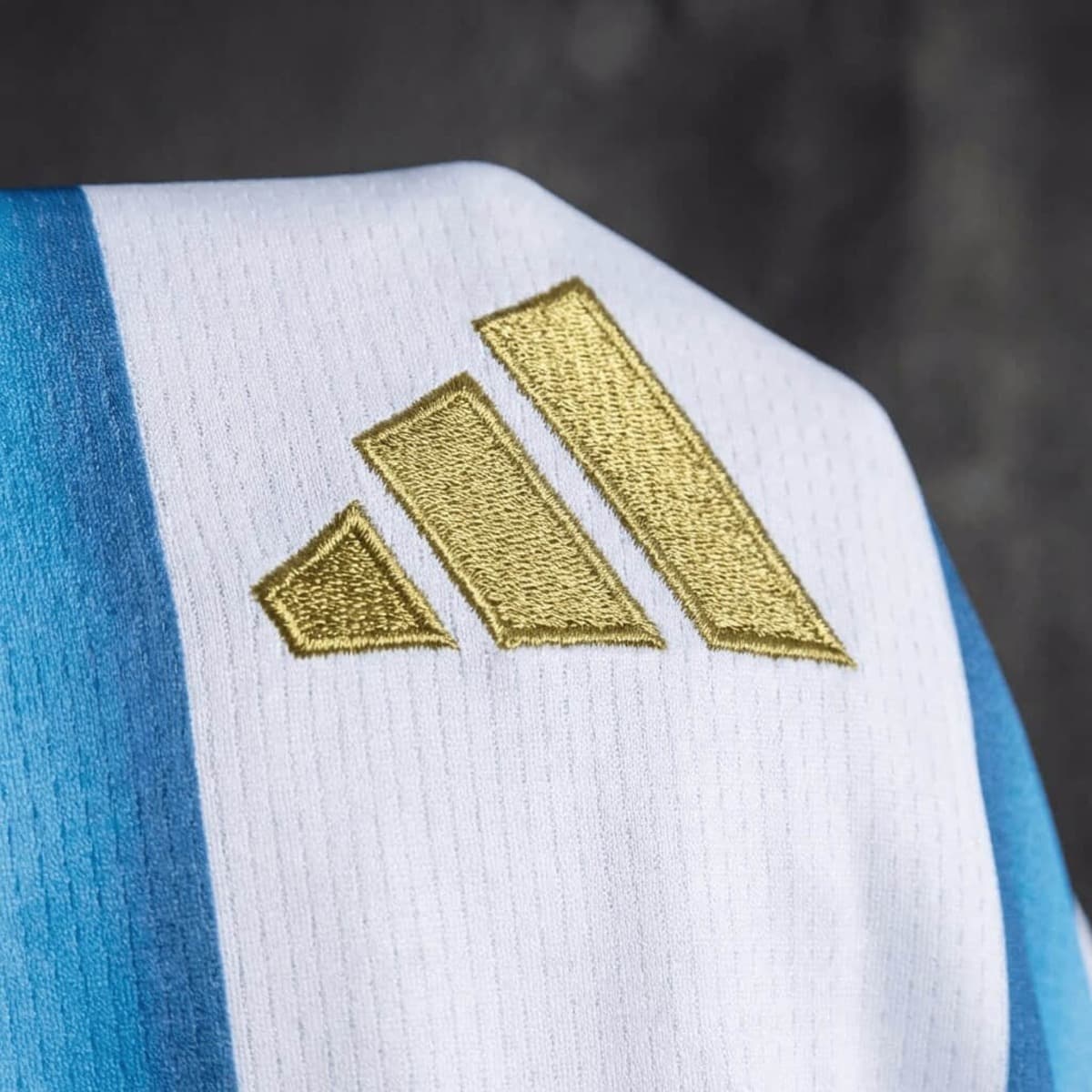 Women's Football Vest Argentina 2026 World Cup Home Jersey S-XXL detalj 3