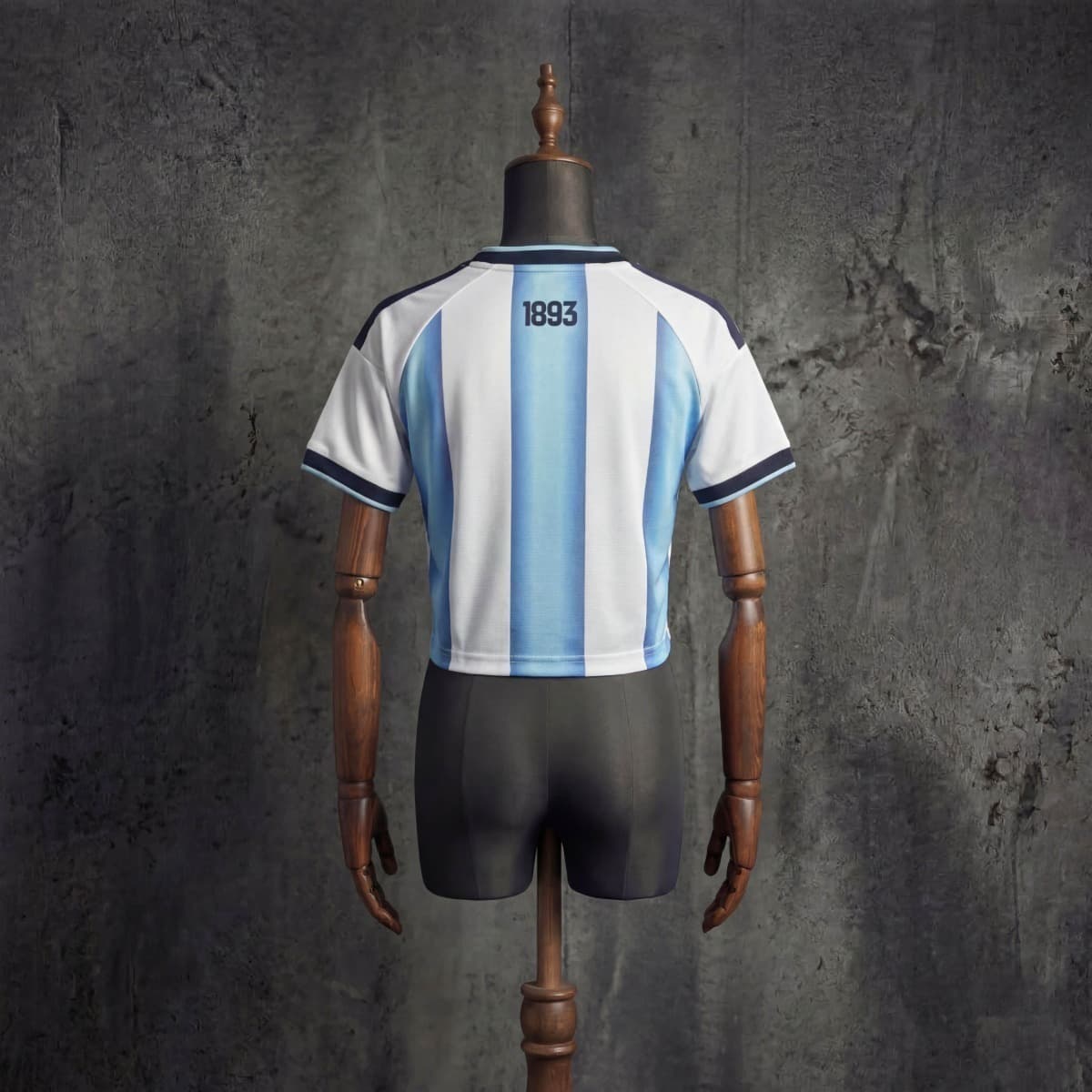 Women's Football Vest Argentina 2026 World Cup Home Jersey S-XXL detalj 5