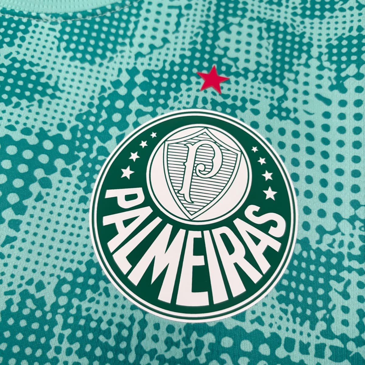 2026/27 Palmeiras Goalkeeper Green Jersey S-4XL detalj 8
